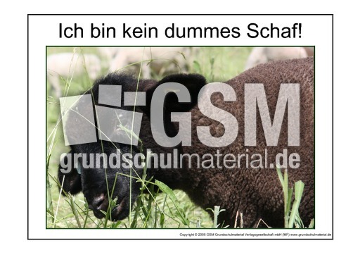 Dummes-Schaf-2.pdf